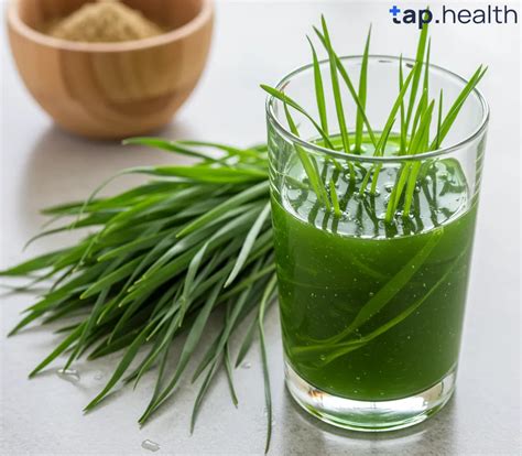 How to Make Wheatgrass Juice: A Simple Guide