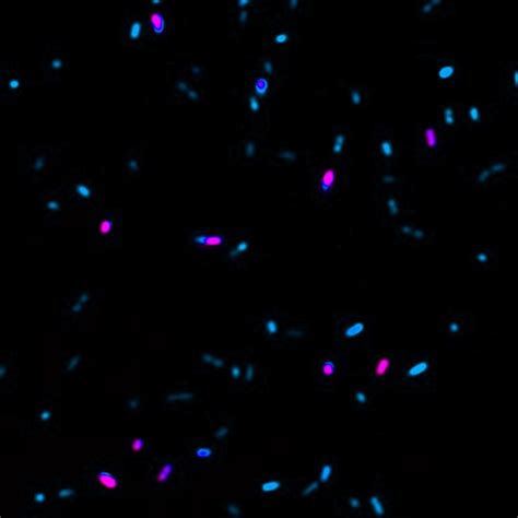 Allianz Bioinnovation