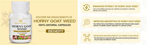 Dr. Pushp's AROGYAM AYURVEDM HORNEY GOAT WEED, 60 Veg Capsules ...