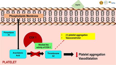 Aspirin, Clopidogrel and Ticagrelor Mechanisms.pptx