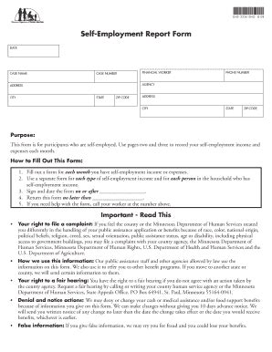 2008-2026 Form MN DHS-3336 - Blank Fillable Template | Fill Out, Print ...