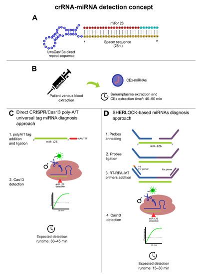 Cancers | Special Issue : Molecular Biomarkers in Colorectal Cancer
