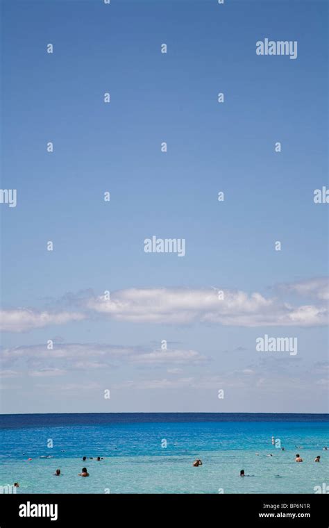 Swimming in the Ocean 的图像结果