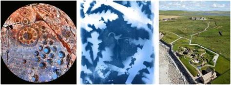 Image result for Destination Dig Art Work