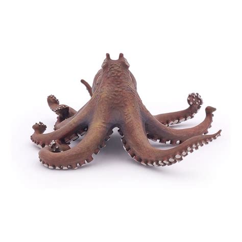 Image result for Octopus Metaheuristic Algorithm