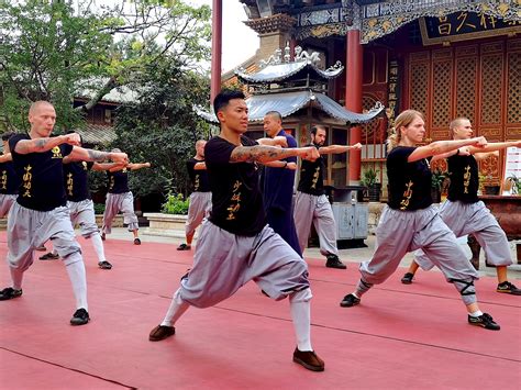 Basic Kung Fu Techniques 的图像结果