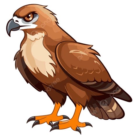 Hawk Character Vector PNG, Vector, PSD, and Clipart With Transparent ...