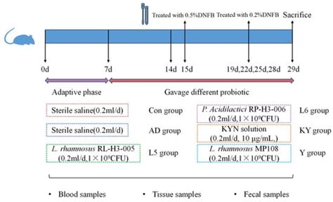 Foods | Special Issue : Probiotics and Prebiotics in Intestinal Health ...