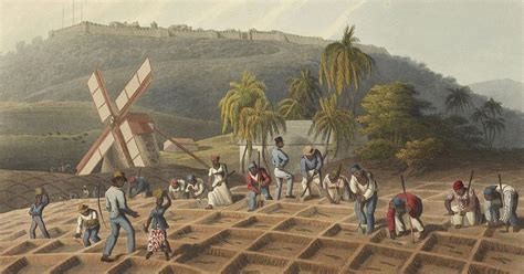 In the 1820s, a British movement to quit sugar accelerated the end of ...