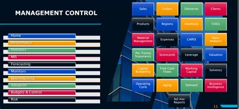 Corporate Operational Performance Management System – MS Consulting