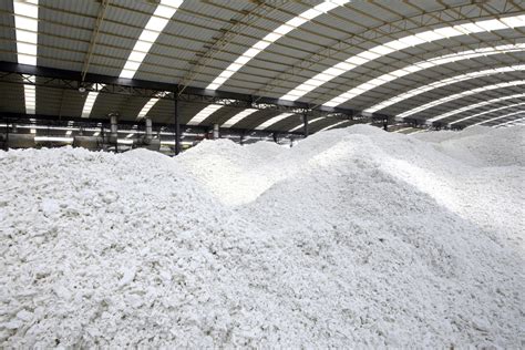 Image result for Pulp Process