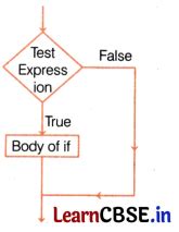 Image result for Class 11 CBSE Conditional Statements in Python