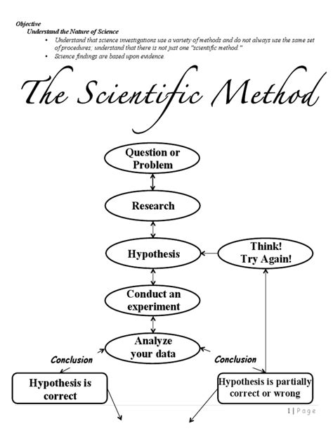 Image result for Scientific Method Exercise