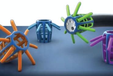 Image result for Polyp Detection Device