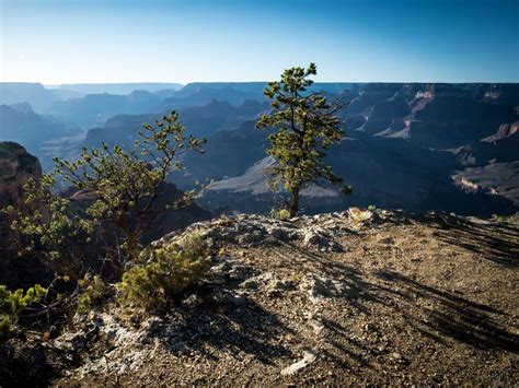 Download wallpaper 800x600 tree, mountains, canyon, landscape, view ...