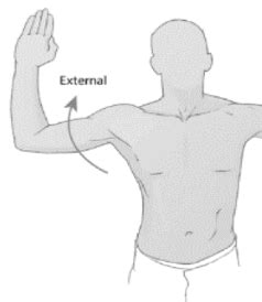 Shoulder Dislocation Contortion 的图像结果