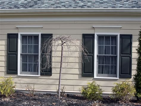 WeatherTech Window 的图像结果