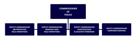 Image result for Police Command Structure