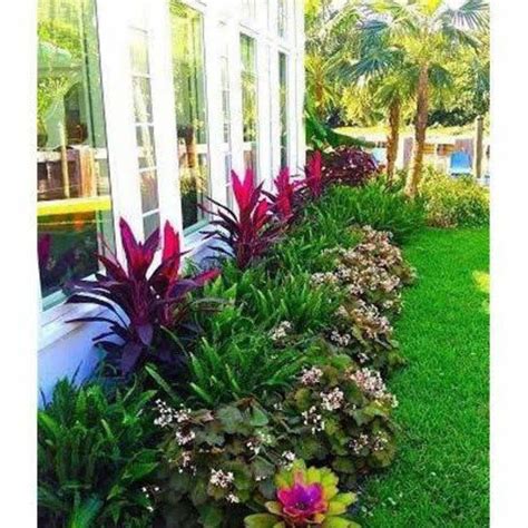 Green Evolve for all your Garden Needs