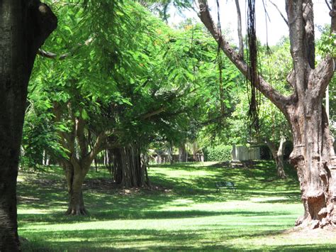 The Parks Department: Merrie Christmas Park