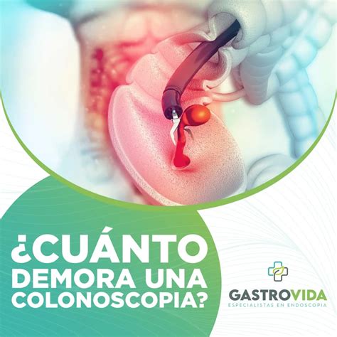 Colonoscopia: Qué Es, Duración, Dolor Y Preparación | Doctor Online
