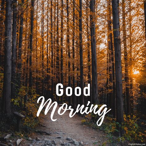 Collection of 999+ Stunningly Beautiful Good Morning Images in 4K HD ...