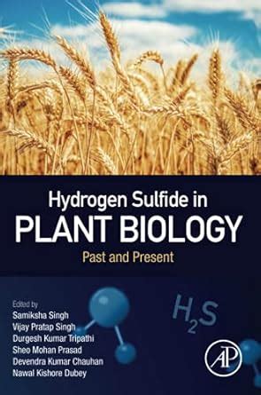 Buy Hydrogen Sulfide in Plant Biology: Past and Present Book Online at ...