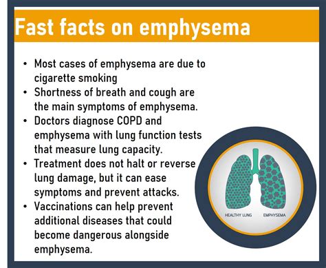 Image result for Emphysema Example