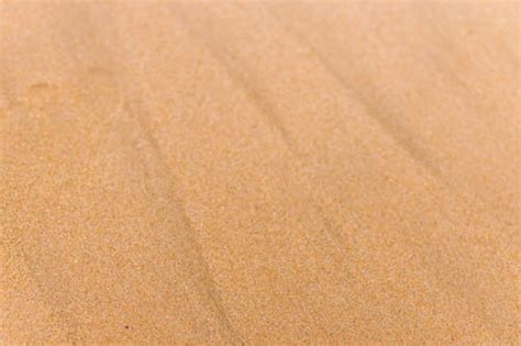 Image result for Project Flash Report Examples