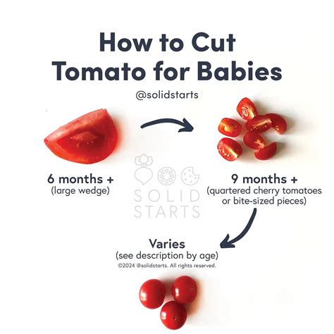 When Can Babies Eat Tomatoes? - Solid Starts