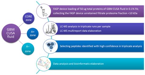 Proteomic Analysis of the Low Molecular Mass Fraction of Newly ...