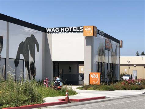 Santa Clara’s Wag Hotel Responds After Dog Attacks Four Employees - The ...