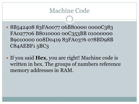 Image result for Machine Code Programming