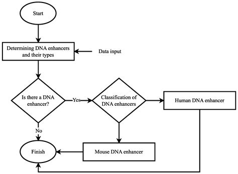 A Novel Repetition Frequency-Based DNA Encoding Scheme to Predict Human ...