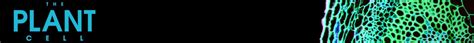 Image result for Bitwise Function Python