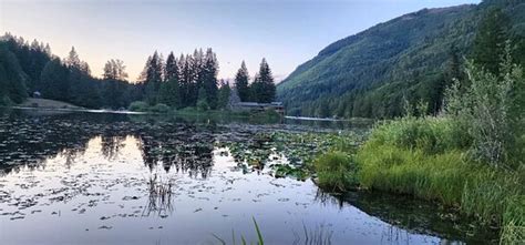 Maple Falls Photos - Featured Images of Maple Falls, WA - Tripadvisor