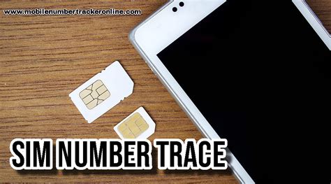 Sim Number Tracking 的图像结果