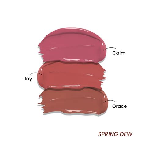 Lip Drip Gloss Stick - Combo of 3 – La Mior