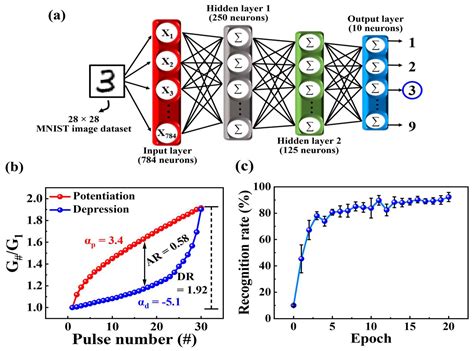 Organic–Inorganic Hybrid Synaptic Transistors: Methyl-Silsesquioxanes ...
