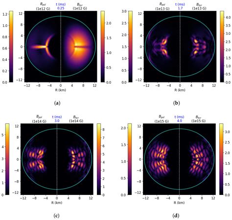 General Relativistic Mean-Field Dynamo Model for Proto-Neutron Stars