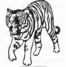 White Tiger Clipart by White Tiger Png Clipart Free Best White Tiger White Tiger Clipart