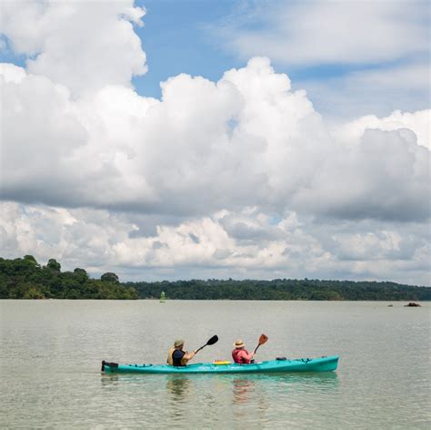 Adventure 的图像结果