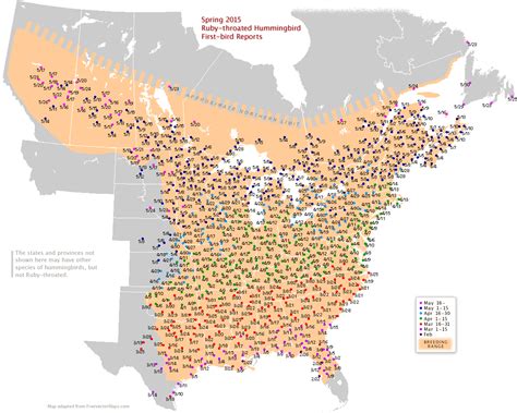 Hummingbird Spring Migration Map 的图像结果