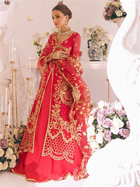 Roheenaz Sawariya Luxury Kalidaar Chiffon Formal Collection – DN-10 ...