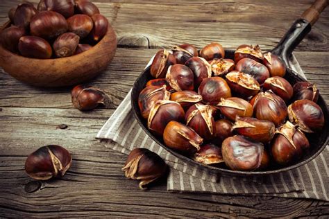 Can Dogs Eat Chestnuts? Health Advice For Worried Dog Owners