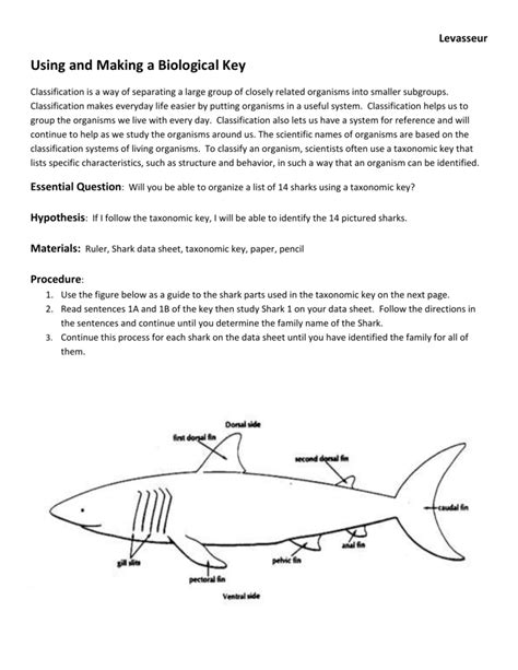 Image result for Using Biological Key Classification System