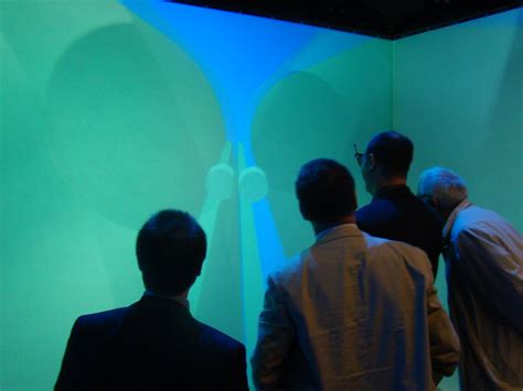 Cave Automatic Virtual Environment 的图像结果