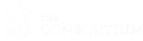 Consortium MBA Application 的图像结果