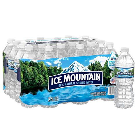 Ice Mountain Brand Natural Spring Water,16.9 Fl Oz India | Ubuy