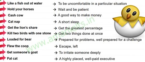 Idioms About ANIMALS || AMAN IELTS || - AMAN IELTS – Free & Premium ...